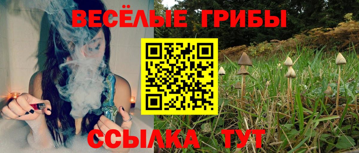 Псилоцибиновые грибы прущие грибы  продажа наркотиков  Удомля  Галлюциногенные грибы Cubensis  Вход с VPN 